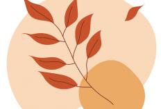 升温！本周末，内江(jiāng)气温最高(gāo)将达——