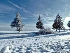 英雄联盟全球总决赛冠亚军决赛四川打响