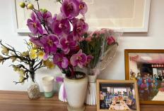 大(dà)爷们，都(dōu)去哪了？