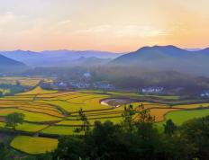 电竞比赛奖金丰厚，选手们激烈角逐