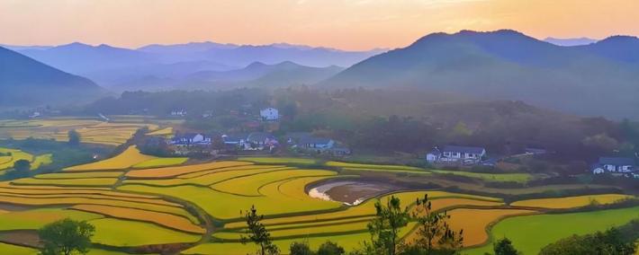 电竞比赛奖金丰厚，选手们激烈角逐