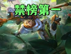 禁用率暴露版本真相！艾琳吃满圣剑红利，杨戬41%禁用率难怪挨刀