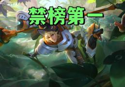 禁用率暴露版本真相！艾琳吃满圣剑红利，杨戬41%禁用率难怪挨刀