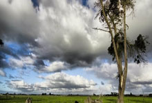 中国车手张好获电竞自行车世锦赛第十名