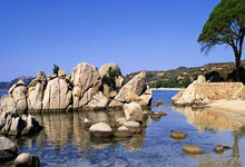 马斯克为Grok5预熱(rè)：以嚴(yán)苛條(tiáo)件(jiàn)挑战LOL人类战队，AI新突破？