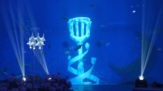 30岁这年,她成为电竞冠军