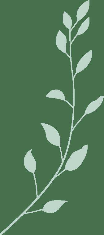 见面會(huì)精(jīng)彩集錦(jǐn)新鲜出炉！